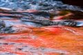 【松川渓谷】紅葉に彩られた赤い橋 “高井橋” から見る絶景！ 信州高山温泉郷・上信越国立公園 2022年の画像011