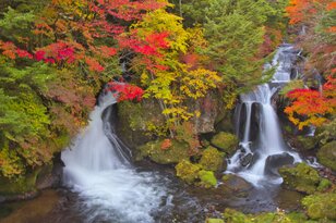 カメラ片手に！ 奥日光「竜頭の滝」を彩る鮮やかな紅葉とリバーハイキング 〈栃木県・日光国立公園〉2022年