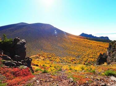 10月中旬から紅葉！ 黄金色に染まる日本百名山「浅間山」 錦秋の外輪山