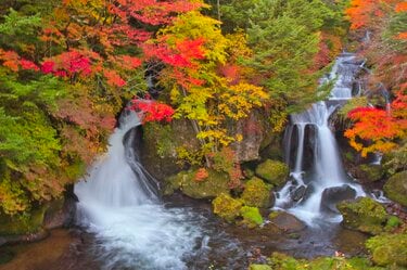カメラ片手に！ 奥日光「竜頭の滝」を彩る鮮やかな紅葉とリバー