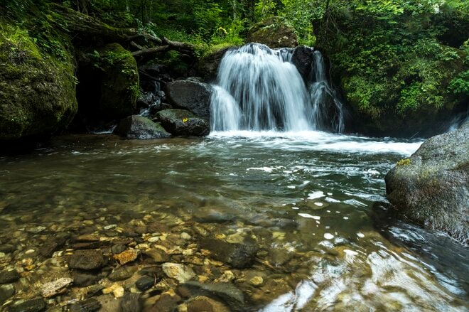 「まさかコバルトマス！？」初めて入った険悪な山岳渓流は、野生のニジマスだらけ！  アベレージサイズは尺！  40オーバーも連発！  濃い魚影、警戒心なしの魚たちで非現実空間だった【渓流フライフィッシング】 2025年・長野県の画像001
