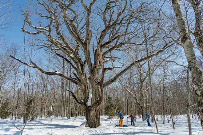【神社とスキーと日本そば】パワースポット「長野県戸隠」は魅力だらけのオールシーズンリゾートだった！の画像003