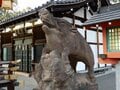 「300頭いのしし伝説」が謎に心強い、足腰によいとされる「譲王神社」 おみくじも当然イノシシだ！！【関西おみくじジャーニーvol.30／京都市上京区】の画像005