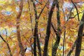 【日本百名山】秋の“北岳”登山！「ドラマチックな展開からの絶景に感動」【南アルプス・山梨県 2023年】の画像001