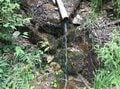 ＜残暑にオススメな“低山の早朝ハイキング”コースPart2＞“涼めるポイント”も豊富な「サクっとモーニングトレイル」私市（きさいち）編【里山アドベンチャー！ソトアソ日和 vol.6】の画像019