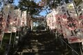 バイク神社、バイク弁当、バイクカフェ…「バイク町おこし」の埼玉・小鹿野ツーリングで「想定外」大ハプニング！の画像002