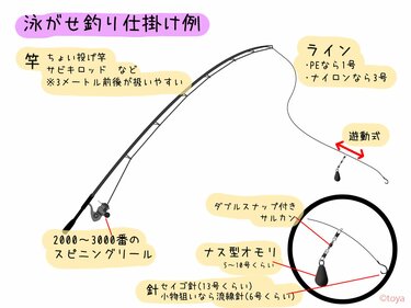 サビキ釣り ついで にワンチャン大物も釣れる 泳がせ釣り と ぶっこみ釣り の三刀流スタイルのススメ アクティビティ ニュース Bravo Mountain