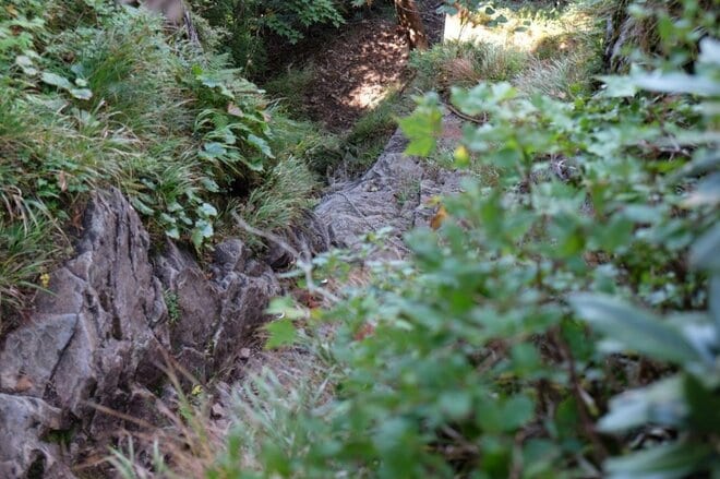 【山頂から景色が一変する百名山】絶景の稜線歩きが待つ「もうひとつのホタカ」への画像006