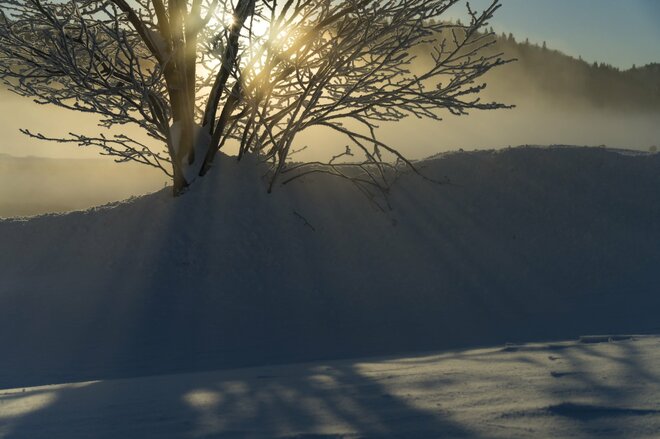 雪の花咲く絶景！  霧氷と川霧のつくり出す「儚くも美しい」幻想の世界にうっとり！【2022年2月・長野県白馬村】の画像004
