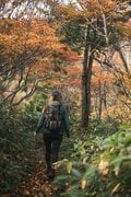 【日本百名山】感動しっぱなし！ 百聞は一見にしかず！ 紅葉の恵那山へ《長野県・岐阜県》2022年の画像011