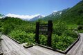 ゴンドラ・ロープウェイで一気に “花咲く湿原” へGO！ 夏の「栂池自然園」で避暑的ハイキング【2024年 長野県小谷村]の画像007