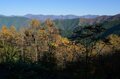 【登山口からハイライト】「アップダウンほとんどなし！」 山梨県の東端・大マテイ山の紅葉は今が見頃の画像002