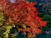 11月29日から秋の特別公開「愛岐トンネル群」 名古屋から30分＆地元で人気の隠れた紅葉名所！  各トンネルごとの見どころ「散策レポ」