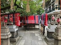 ハイブランドが建ち並ぶ心斎橋筋に  ひょっこり見える商人のパワースポット【関西おみくじジャーニー vol.19「難波神社」／大阪市中央区】