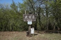 「飽きない」日帰り登山！「奥武蔵4座縦走」芦ヶ久保から武川岳の「オススメ健脚ルート」実走ルポ