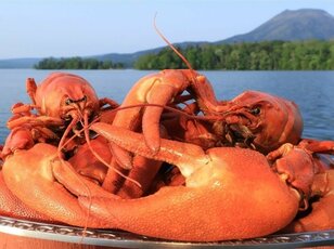絶品食材＆観光資源になった“湖の厄介者”「レイクロブスター」とは！？  駆除から一転、人気急上昇の特定外来生物「レポート」【北海道阿寒湖】