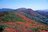 今年は色づきがブラボー！「本州で一番早い紅葉」と名峰・岩手山を眼前に望む絶景のトレイル＜前編・岩手県 三ツ石山＞【今日も山旅気分 vol.9】の画像003