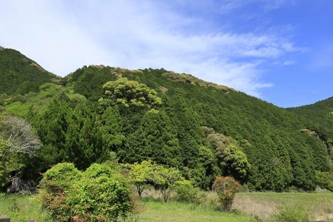 【NHK大河『豊臣兄弟！』ゆかりの城】ド肝抜く「主郭の大堀切」は、ほんの始まり…「土佐国・内田城〈前編〉」（高知県東洋町）【戦国の山城を攻める vol.11】の画像002