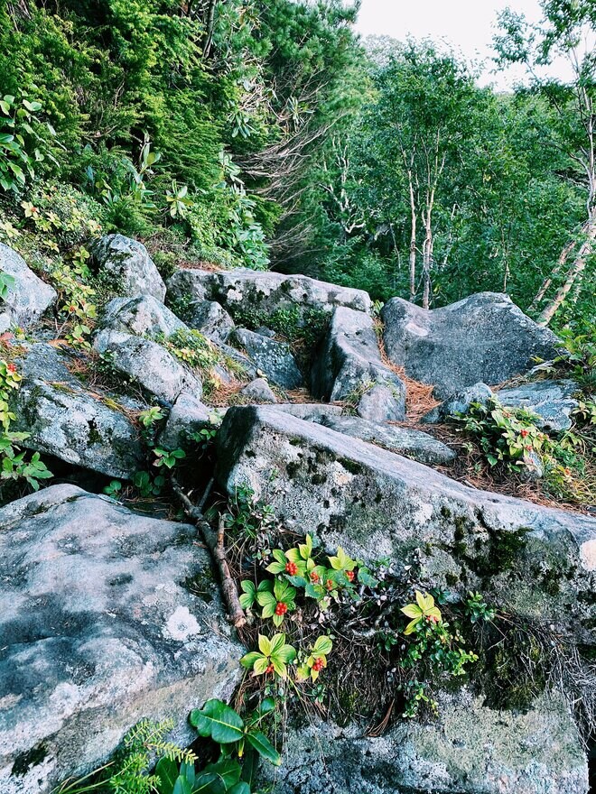 一粒で二度おいしい！ 日帰り温泉登山【癒し編】＜小蓮華山＞の画像004