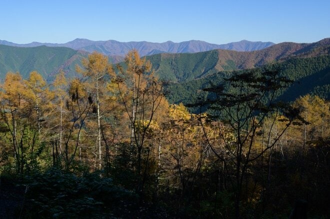 【登山口からハイライト】「アップダウンほとんどなし！」 山梨県の東端・大マテイ山の紅葉は今が見頃の画像002