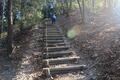 早春のロウバイ咲く「宝登山」絶景ハイキング！  木漏れ日の「長瀞アルプス」 尾根歩き＆下山はロープウェイ利用もOK！ 「現地レポ」【埼玉県秩父郡長瀞町】の画像007