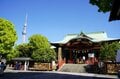 「藤の花」が降りそそぐ絶景「亀戸天神」紫に染まる雅な藤の名所は浮世絵の世界を今もなお残す【東京都 江東区】の画像001