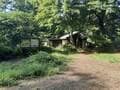 夏の「高尾山〜小仏城山」縦走の見どころは「ヤマユリ」！  美しい大輪の花・複数まとまって咲く様子に感動！「登山レポ」の画像002