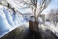 「雪の青森って、素敵だね！」 白銀の奥入瀬渓流をスノーシューで散策し、冬だけの大自然アート「氷瀑」を鑑賞する【「奥入瀬渓流ホテル」滞在型満喫プラン】の画像011