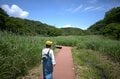 関東に残された唯一の奇跡の森！  三浦半島にある「小網代の森」って、どんなところ？  海まで続く約1.3km 散策レポートの画像005