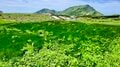 初めての日本アルプス体験！  イタリア人が感動した立山黒部アルペンルートの魅力（前編）【ブーツの国の街角で vol.30】の画像011