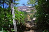 山頂に行くかは気分次第！？ 目標は標高2,150mの「雲上の湯」こと八ヶ岳・本沢温泉＜日帰りよし宿泊よしの夏山温泉ハイク・後編＞【今日も山旅気分 vol.23】
