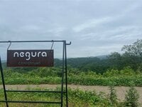 「むしろ来場者が増えている」 キャンプブームは終わったかどうか？  訪れたキャンプ場で見た意外な光景と“秘訣”とは！  静岡県函南町「negura campground」レポ
