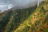 “行きは登山、帰りはロープウェイで！”　紅葉シーズンの「御在所岳」登山レポート「中登山道」 【三重県】 2024年