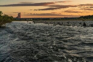 冬季釣り場【首都圏の都市河川でビックレインボー】“ハコスチ”を狙う！ 日本一の利根川でフライフィッシング・群馬漁協2022年