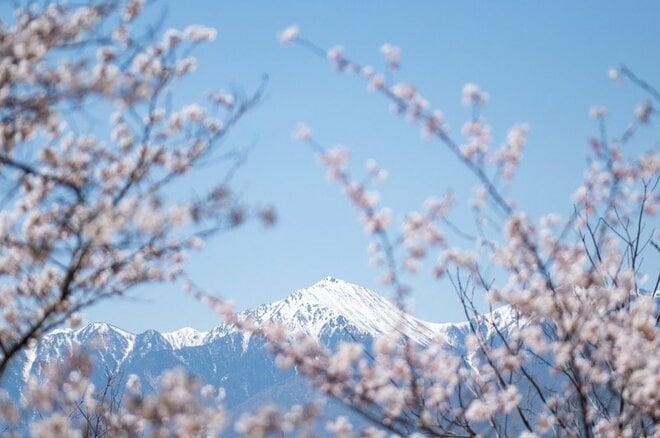 【こんな贅沢な山は他にない！】お花見ハイキングの名所「光城山」のお出かけ前に押さえるべきポイント解説の画像006