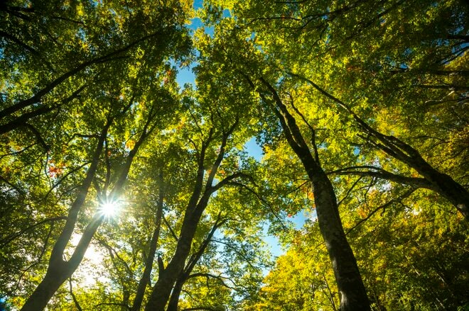 【登山】紅葉の当たり年！「色づきはこれからピークへ」  百名山 “雨飾山” の頬を赤らめる女神の横顔　長野県／新潟県 2025年の画像004