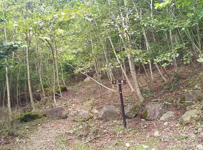 富士山と西湖の絶景を望む「王岳」＆「鍵掛峠」の “贅沢な尾根” 歩きが魅力！  富士河口湖町「西湖いやしの里根場」から日帰り登山レポの画像004