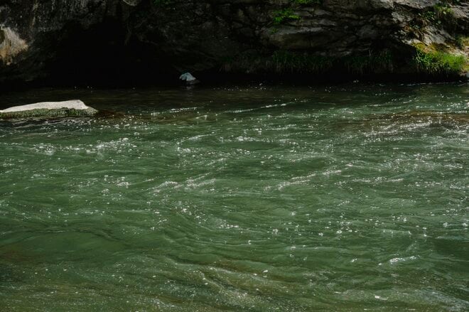 【渓流釣り】新緑キラめく渓谷へ！  歴史ある「塩原温泉」を流れる箒川キャッチ＆リリース区間でフライフィッシング  栃木県｜2026年の画像007