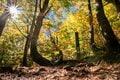 【百名山】秋色に染まる雨飾山へ！ 「山肌を覆う絢爛な彩りが見事」紅葉登山  長野県、小谷温泉ルート 2024年の画像004