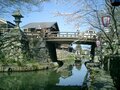 重要文化的景観「ヨシの群生地」と歴史・文化・グルメの近江八幡旅＜近江八幡水郷めぐり 後編＞【ユーコンカワイの股旅リバログ vol.30】の画像005