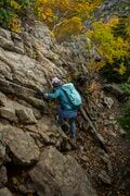 【登山】ここ数年で一番の美しさ「南アルプスの貴公子と女王の山岳紅葉」 日本の1-2-3位の高峰を望む  南アルプス・2025年の画像006