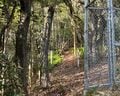 意味が分かると怖い「低山の登山道」写真！ 「ナメすぎNG」迷いやすい「不明瞭＆荒れ放題」ルート「5つの落とし穴」レポートの画像002