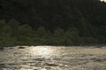 【渓流釣り】たった一匹のヤマメを釣るために！ “メタボなんて気にしない” 「昆虫食より魚派！ でも何でもいいかな」大食漢の欲張り山女の画像001