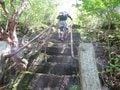日本屈指のパワースポット！  埼玉・秩父「三峯神社」と妙法ヶ岳「奥宮」に参拝登山【ルポ】の画像004