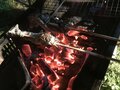 釣って満足じゃもったいない？  川・湖で釣った魚「食べてみた」！  塩焼きで “皮パリ” 堪能＆嫌われがち「外来魚」の意外な美味しさ「レポート」の画像001