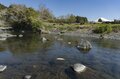 【渓流釣り】春本番！  お花見しながらの釣り歩き 「富士と桜とフライフィッシング」 静岡県・2025年の画像003