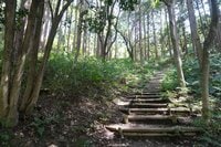 神秘的な魅力にあふれる京都の低山「甘南備山」 樹々が薫る登山道＆山頂の展望デッキからは絶景！ 2時間ハイキング【京都府京田辺市】