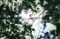 初夏の低山こそ注意！ 倦怠感や痺れを感じて歩けなくなる…「シャリバテ＆熱中症」看護師有資格ライターの実体験に学ぶ「体で起きていたこと」と「対処」とは？