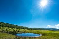 「季節は初夏から夏へ！ 歩き出しから2,000m越えの高層湿原」レンゲツツジにコマクサ・高嶺の花々を愛でながらライトトレッキング！ 池ノ平湿原・湯ノ丸山【上信越高原国立公園】／東御市