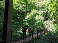 ゴールデンウィークは高尾山登山に！「おすすめルート」とオンラインで簡単「登山計画書」を作る方法とは？